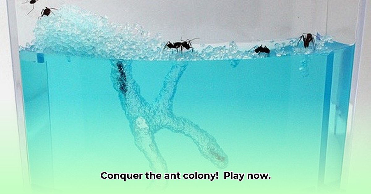 finally-ants